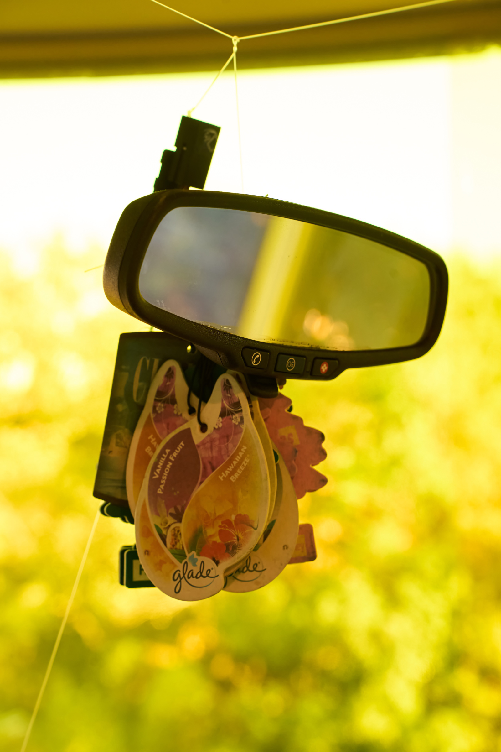 photo:Miki Shinobu
