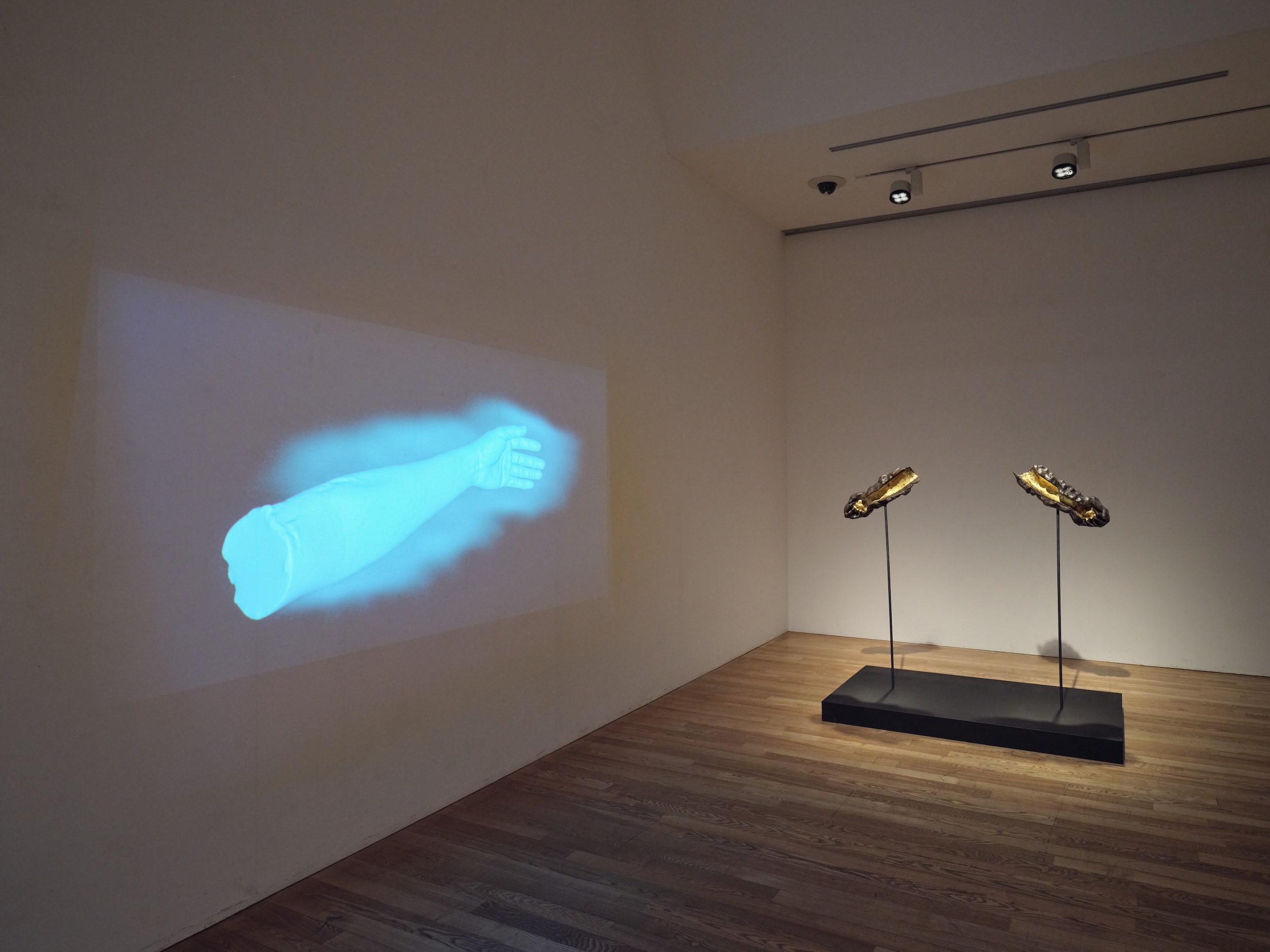 photo:Naoto Kozuka